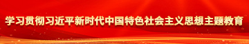 日本啊啊学习贯彻习近平新时代中国特色社会主义思想主题教育